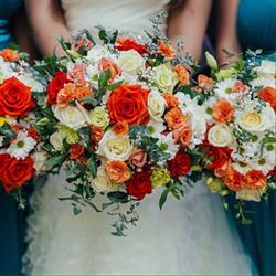 Tyabb Wholesale Roses