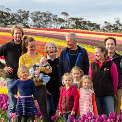 Van Diemen Quality Bulbs