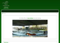 Washpool Lodge