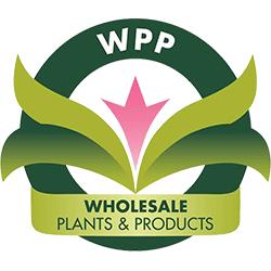 Wholesale Plants & Products Pty Ltd