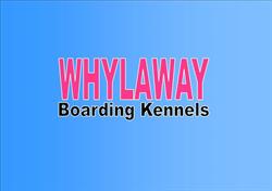 Whylaway Boarding Kennels