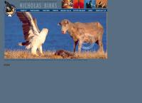 Wildflight Australia Postcards