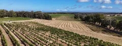 Willespie Estate Vineyard