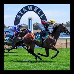 Wimmera Racing Club Ltd (Stawell Vic)