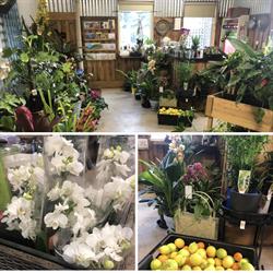 Woodend Nursery
