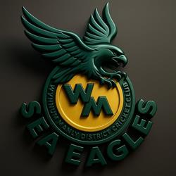 Wynnum Manly District Cricket Club