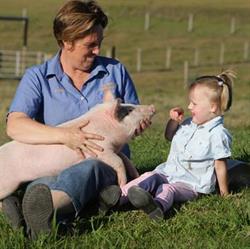 Yandina Feed Barn