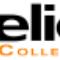 Elica-Collection