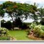 Country garden wedding