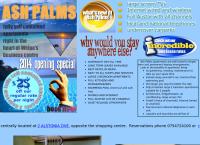 Ash Palms's website