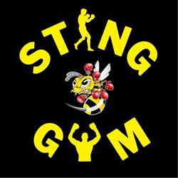 Kickboxing & Mma Sting Gym