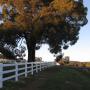 3 Rail Fencing System