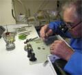 Watch Repairs Melbourne