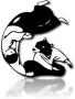 Aikido - Aiki Kai Tasmania (Deloraine)