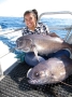 Frenzy Charters