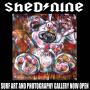 SHEDNINE  SURF ART GALLERY
