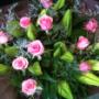 Lillies and rose bouquet