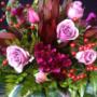 Rose and berries