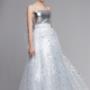Feather Gown