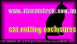 Thecatshack