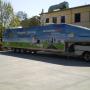 Vehicle graphics