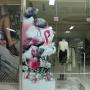 Window Graphics