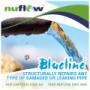 Blueline