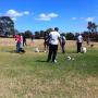 puppy classes