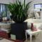 Shabby 2 Chic