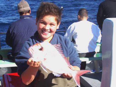 Snapper