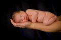 Newborn Photo Session