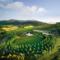 CONVERTIBLE YARRA VALLEY WINE TOUR