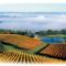 YARRA VALLEY