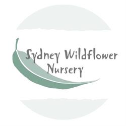 Sydney Wildflower Nursery Heathcote