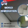 Mould-Remediation