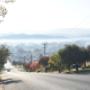 Tumut Mornings