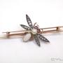 Uploaded by visitor on 13/7/2017 - Art Nouveau Bug Brooch Set Opal Diamonds & Natural Pearl