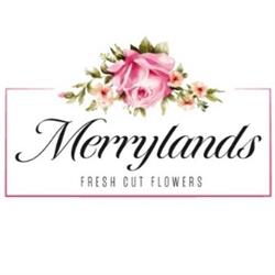 M & A Fresh Cut Flowers