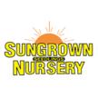 Sungrown Seedlings Nursery