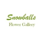 Snowballs Flowers Gallery