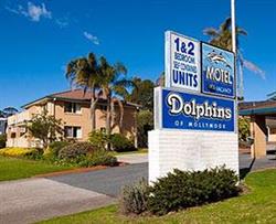 Dolphins Of Mollymook