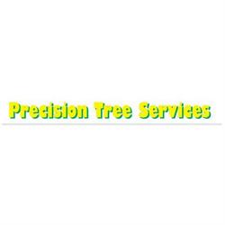 Newcastle Precision Tree Services