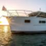 Cruise Boats For Sale