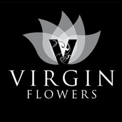 Virgin Flowers Baxter & The Home of Artful Blooms