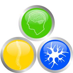 The Chiropractic Works