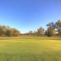 Anyone for Golf