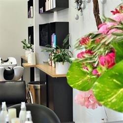 Renaissance Salon