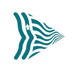 Byron Shire Council