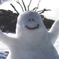 Mt Buller Arlberg Hotel