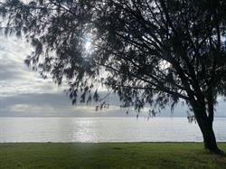 Beachmere Palms Motel